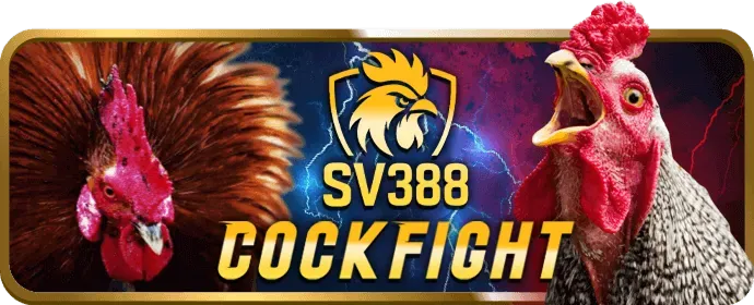Cá Cược Bóng Đá 28bets